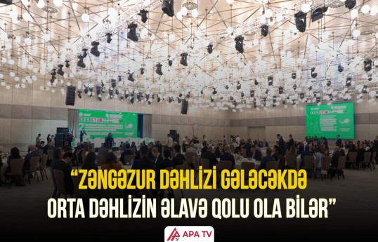 Fərid Şəfiyev Orta Dəhlizlə bağlı vacib məqamları açıqladı
                                                