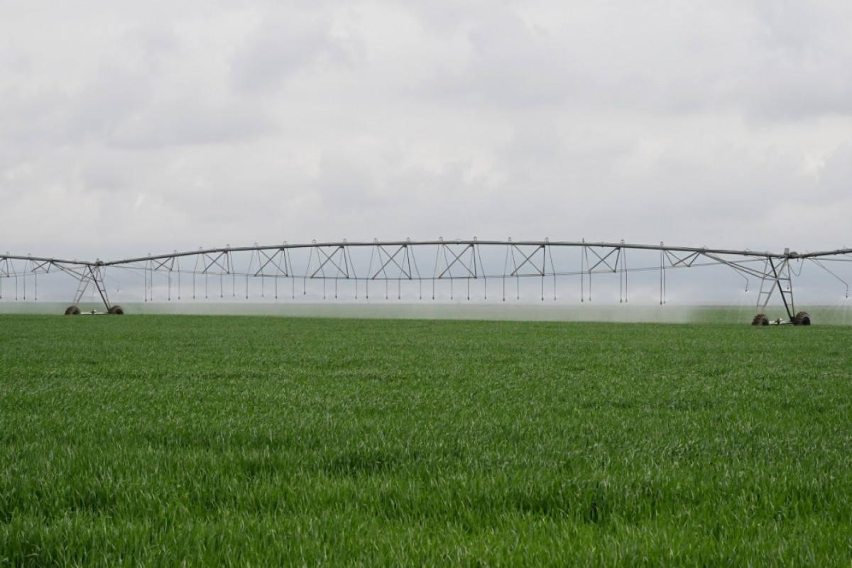 Le président Aliyev inspecte un complexe d’installations d’irrigation appartenant à la SARL Agro Dairy à Hadjygaboul
