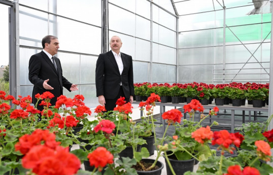 Visite du chantier du Complexe du Parc écologique à Gandja