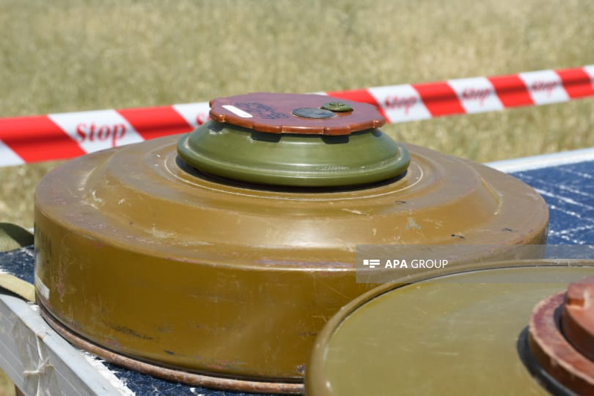 ANAMA : 6 mines et 725 munitions non explosées découvertes dans les territoires libérés de l’occupation