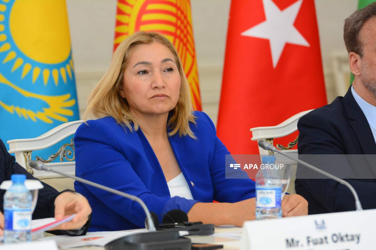 Bakou accueille la première réunion des présidents des commissions des affaires étrangères des parlements de l'OET - Photos 