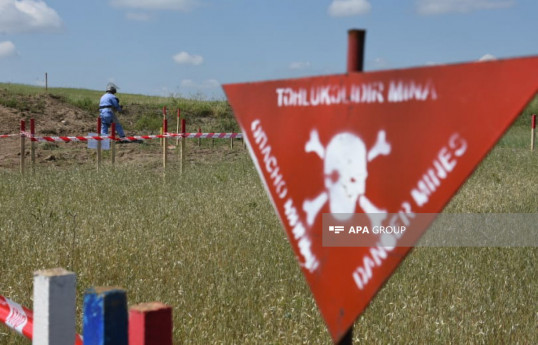 ANAMA : 159 autres mines et 380 munitions non explosées découvertes dans les zones libérées