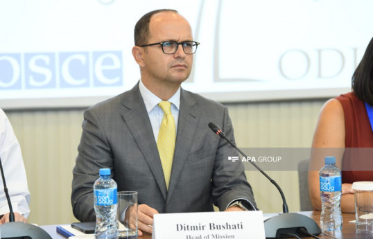 Ditmir Bushati : Nous n'avons pas le pouvoir d'aider ou d'intervenir des élections
