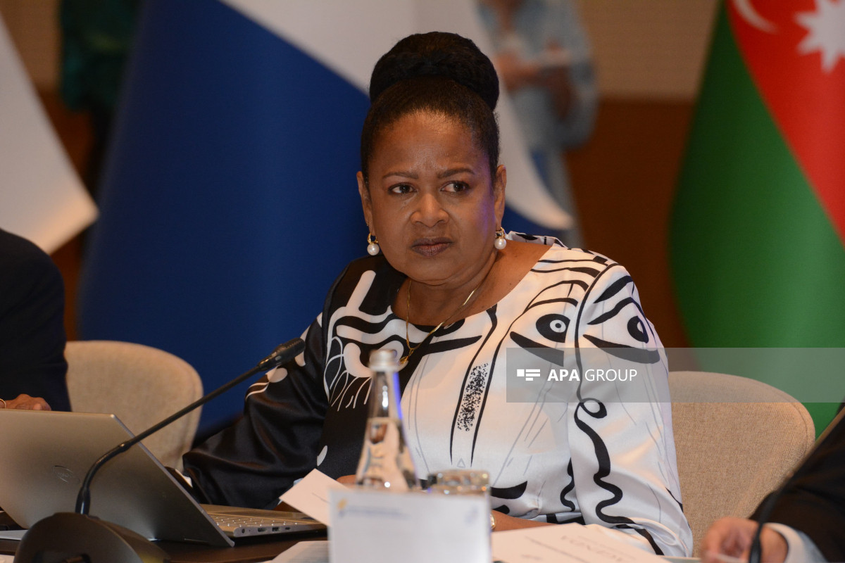 Une conférence consacrée au droit à l'autodétermination du peuple de Bonaire s'est tenue à Bakou - Photo 