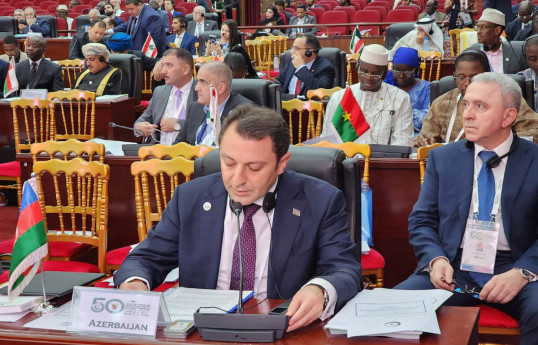Le vice-ministre azerbaïdjanais des AE a participé à la 50e session du Conseil des ministres des Affaires étrangères de l'OCI - Photo 