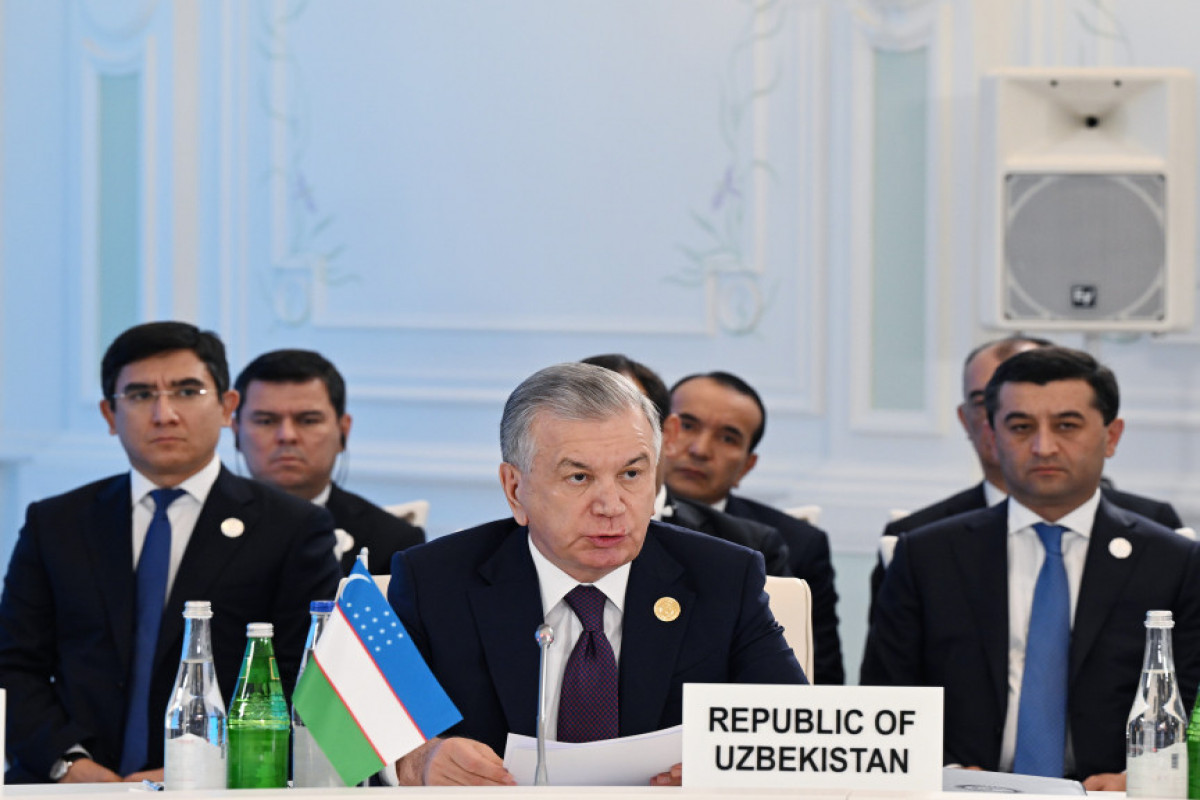 Choucha accueille le sommet informel de l’Organisation des Etats turciques à Choucha, Ilham Aliyev participe au sommet informel