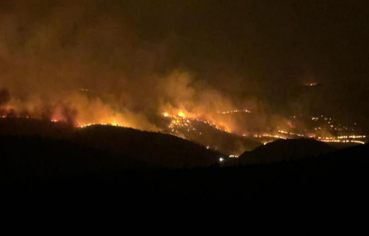Türkiye : Cinq morts et 44 blessés dans un feu de végétation