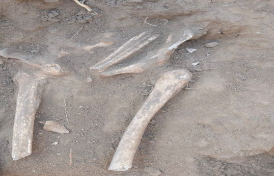 Azerbaïdjan : des restes humains découverts à Khodjaly - Photo - Vidéo 