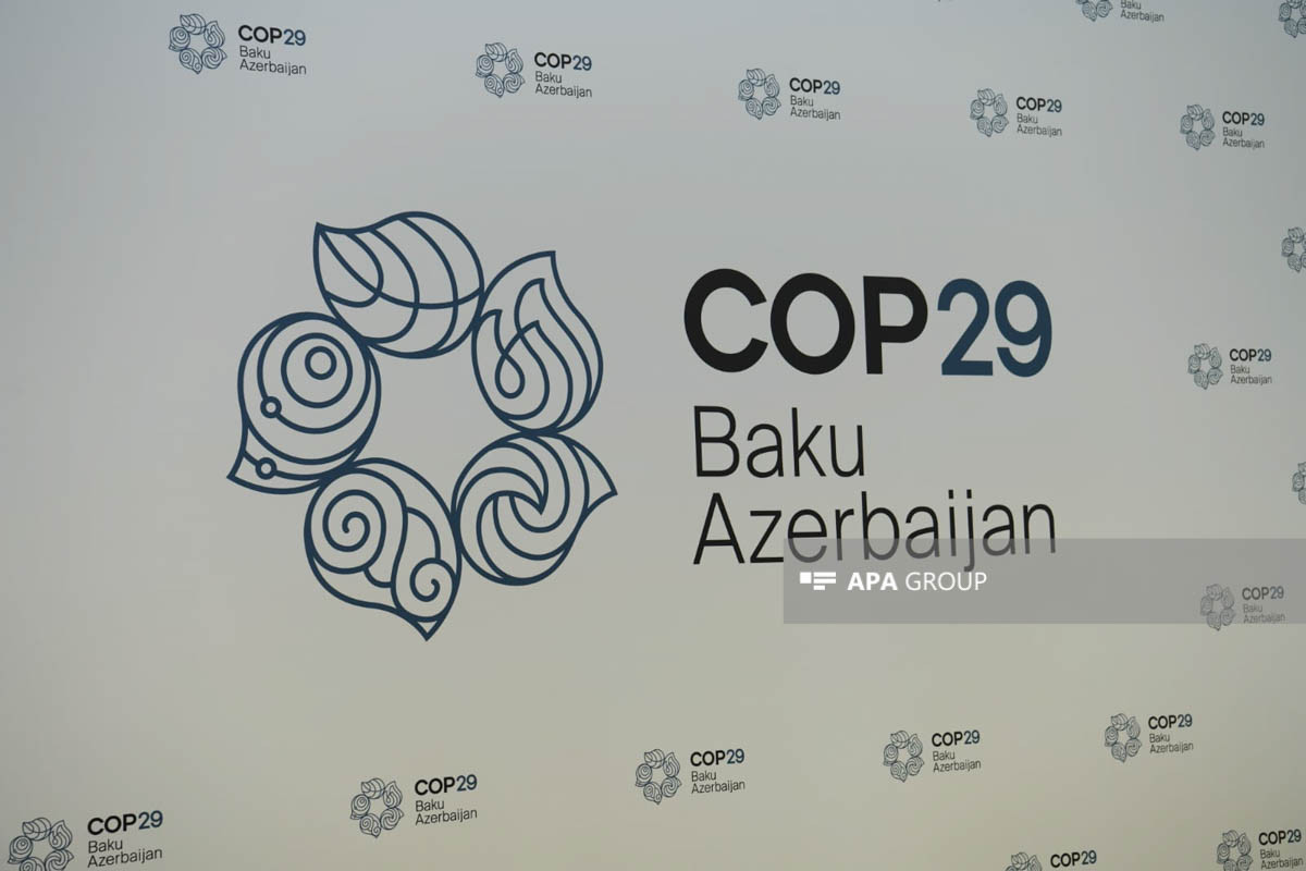 COP29 : L`ONU crée un groupe de travail spécial pour soutenir l`Azerbaïdjan