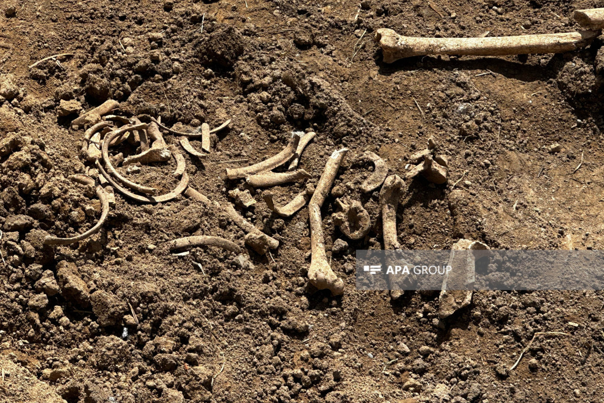 L`Azerbaïdjan découvre des fragments d`os humains dans le territoire de village de Malybeyli