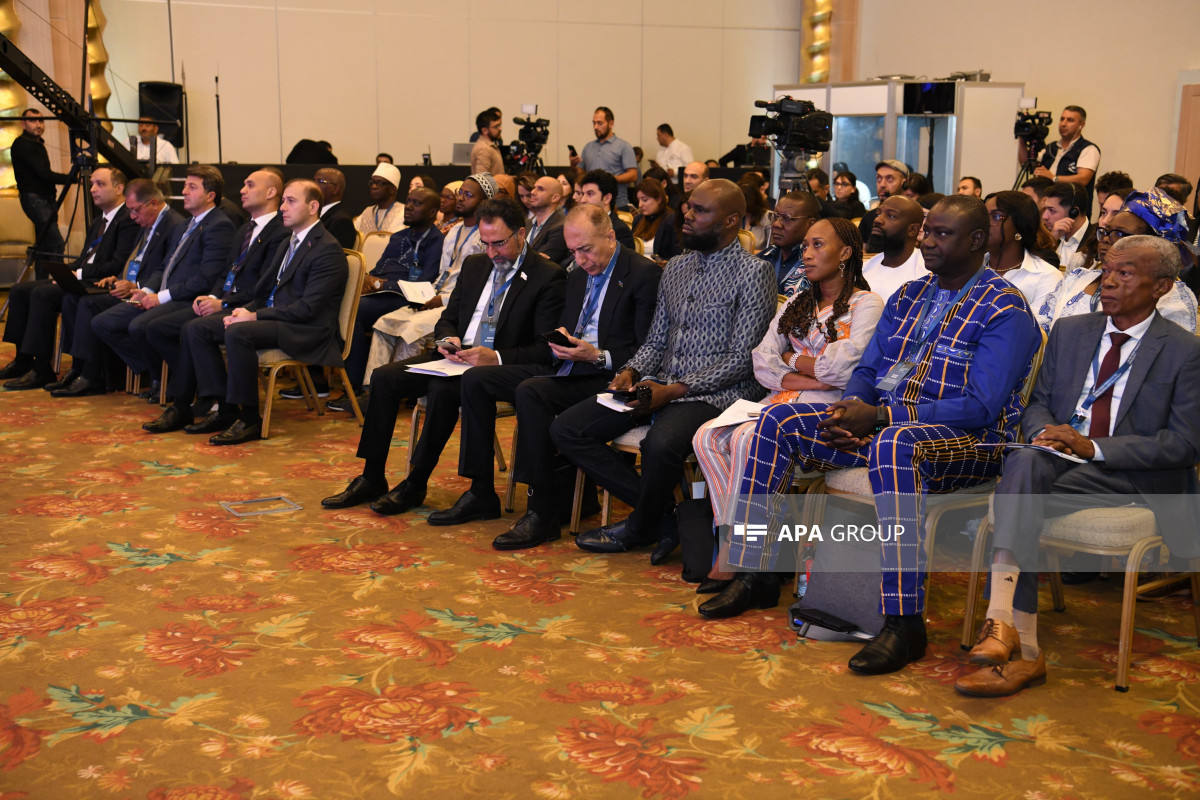 Bakou : Conférence internationale intitulée "La politique néocolonialiste de la France en Afrique" - Photo  - Mise à Jour 