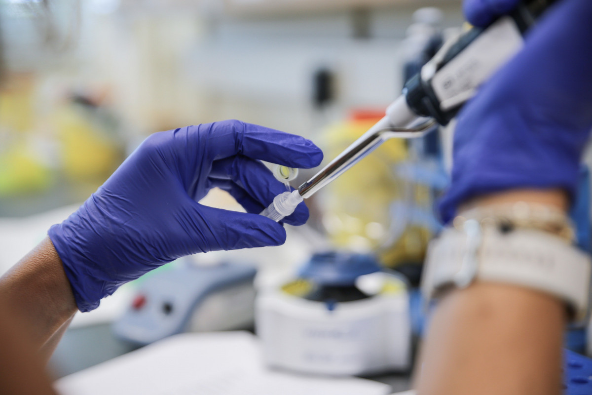 Mpox : l’OMS donne son accord pour commercialiser un test de diagnostic