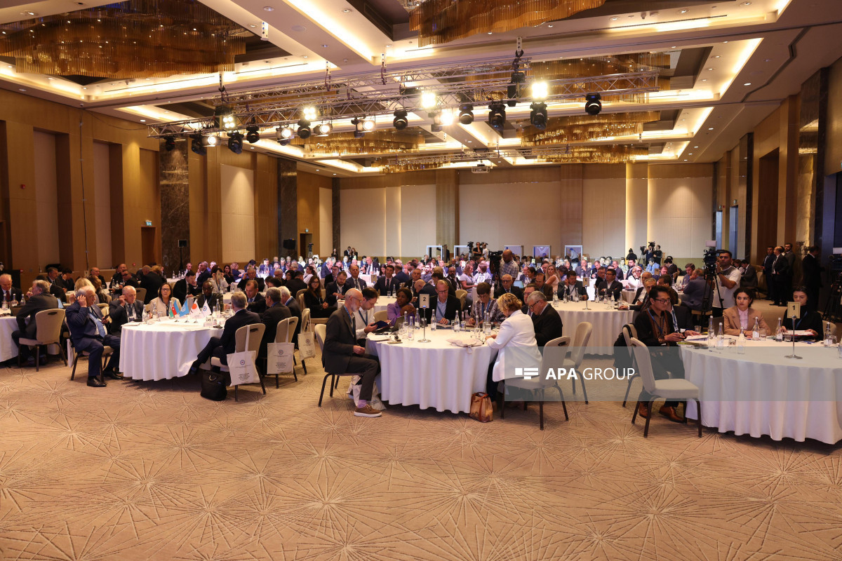 Conférence internationale sur le changement climatique à Bakou - Photo 