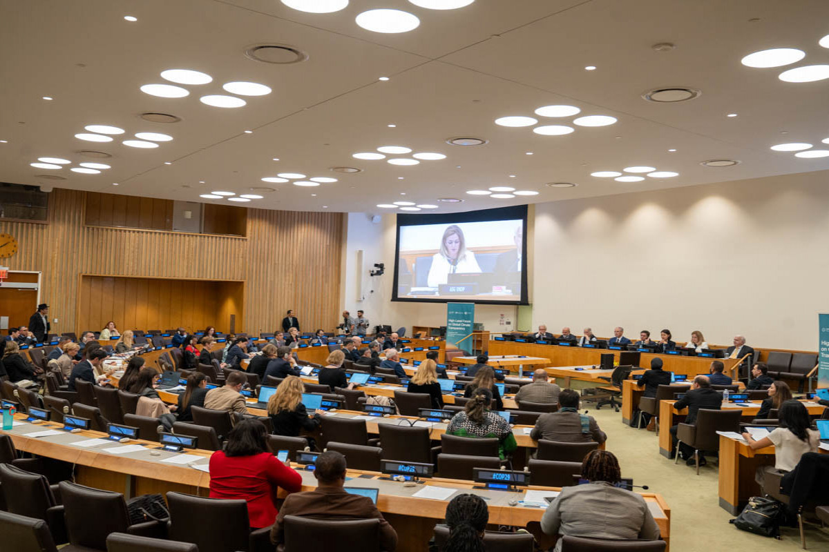 New York abrite le Forum de haut niveau sur la transparence climatique à l'initiative de la présidence de la COP29 - Photo 
