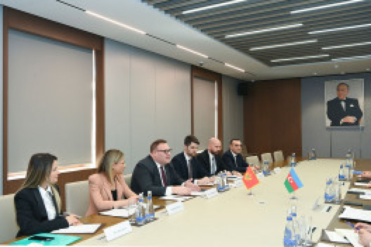 Rencontre entre le ministre azerbaïdjanais des Affaires étrangères et son homologue monténégrin