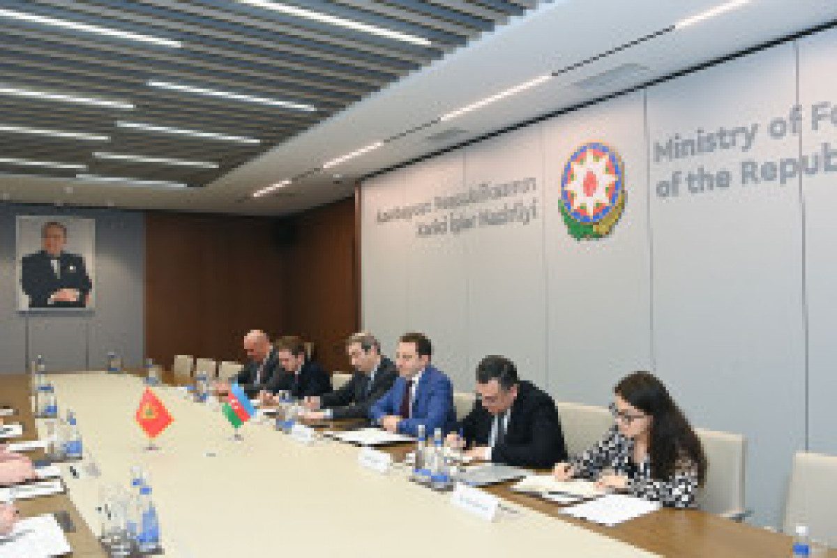 Rencontre entre le ministre azerbaïdjanais des Affaires étrangères et son homologue monténégrin