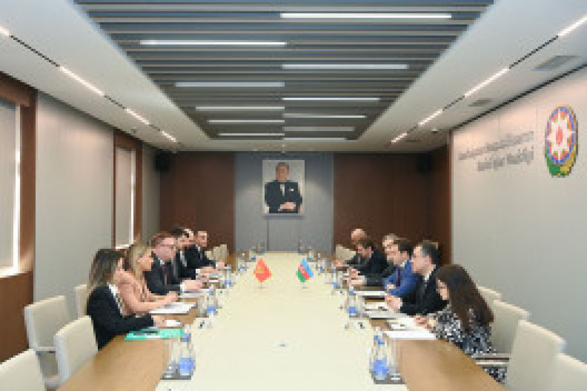 Rencontre entre le ministre azerbaïdjanais des Affaires étrangères et son homologue monténégrin