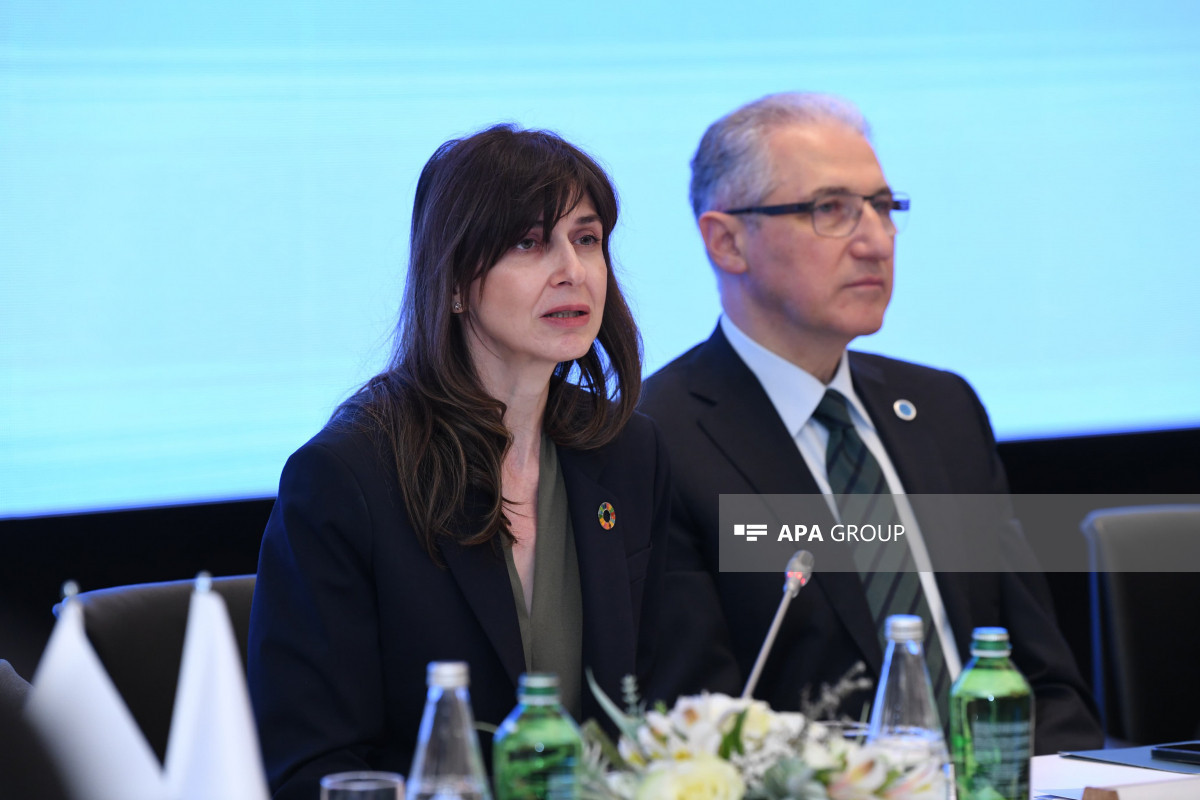 Vladanka Andreeva : L