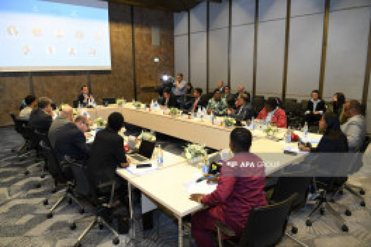 Ouverture de la deuxième journée de la Conférence fondatrice de la Plateforme des ONG du Sud global à Bakou - Photo 