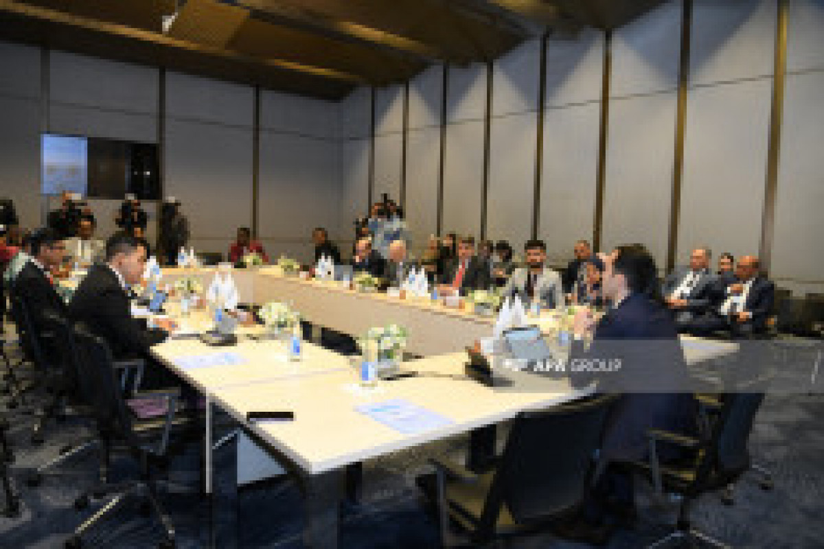 Ouverture de la deuxième journée de la Conférence fondatrice de la Plateforme des ONG du Sud global à Bakou - Photo 