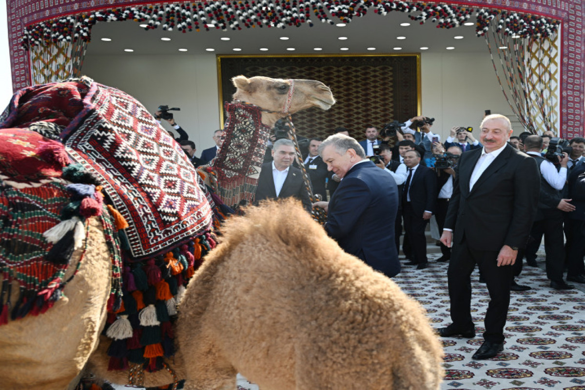 Le président azerbaïdjanais Ilham Aliyev a reçu un cheval Akhal-Teke