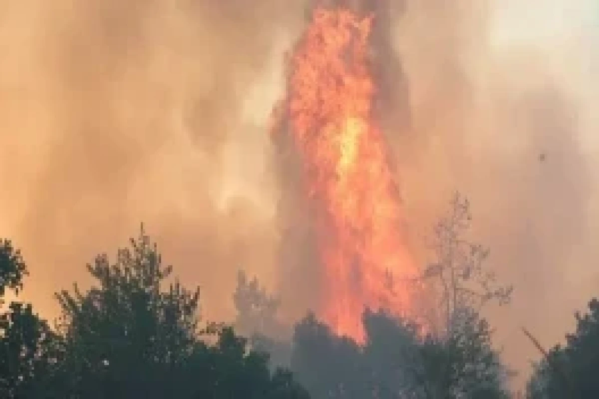 342 incendies de forêt se sont déclarés en Türkiye au cours des cinq derniers jours - Photo 