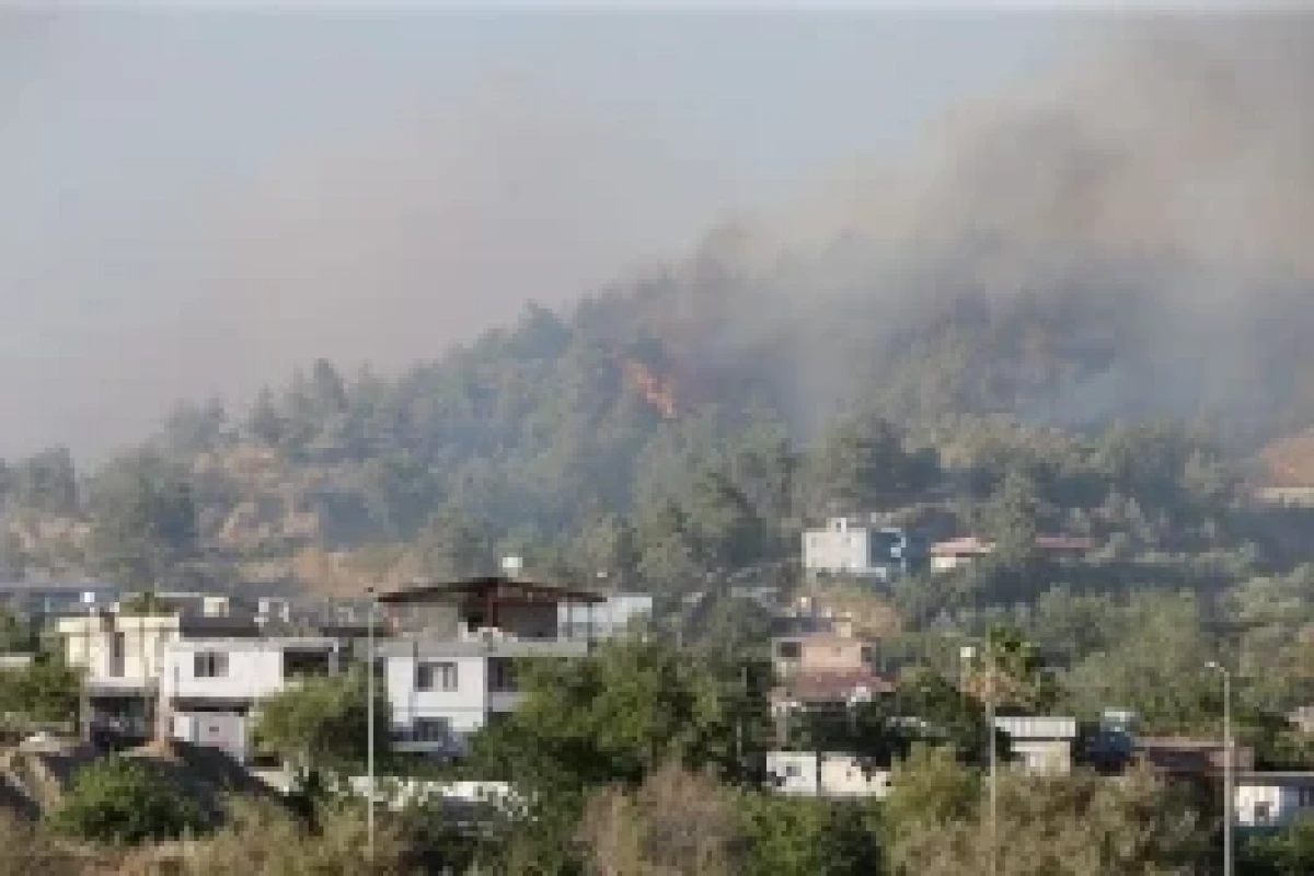 342 incendies de forêt se sont déclarés en Türkiye au cours des cinq derniers jours - Photo 