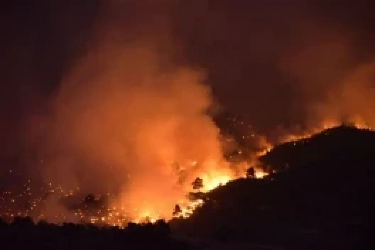 342 incendies de forêt se sont déclarés en Türkiye au cours des cinq derniers jours - Photo 