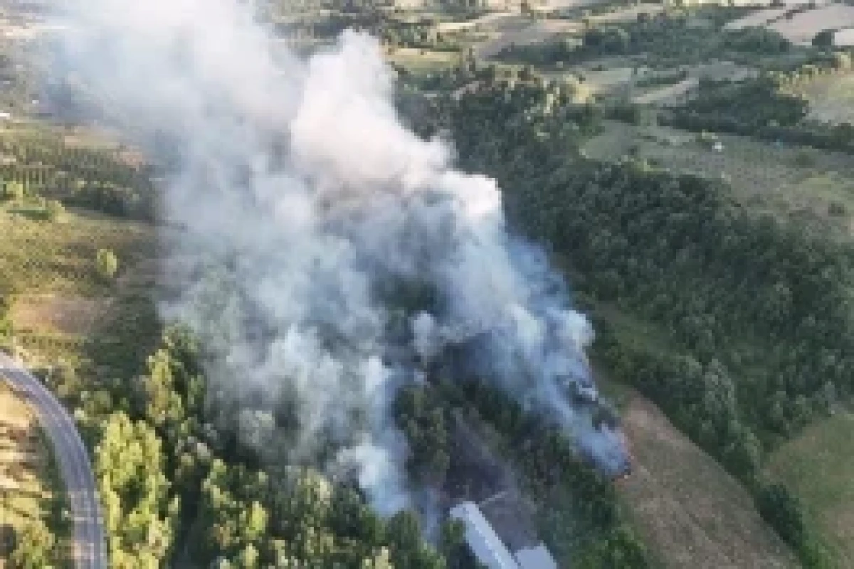 342 incendies de forêt se sont déclarés en Türkiye au cours des cinq derniers jours - Photo 