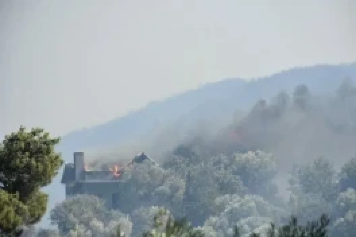 342 incendies de forêt se sont déclarés en Türkiye au cours des cinq derniers jours - Photo 