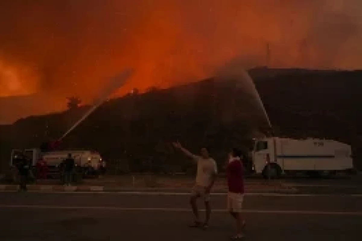 342 incendies de forêt se sont déclarés en Türkiye au cours des cinq derniers jours - Photo 