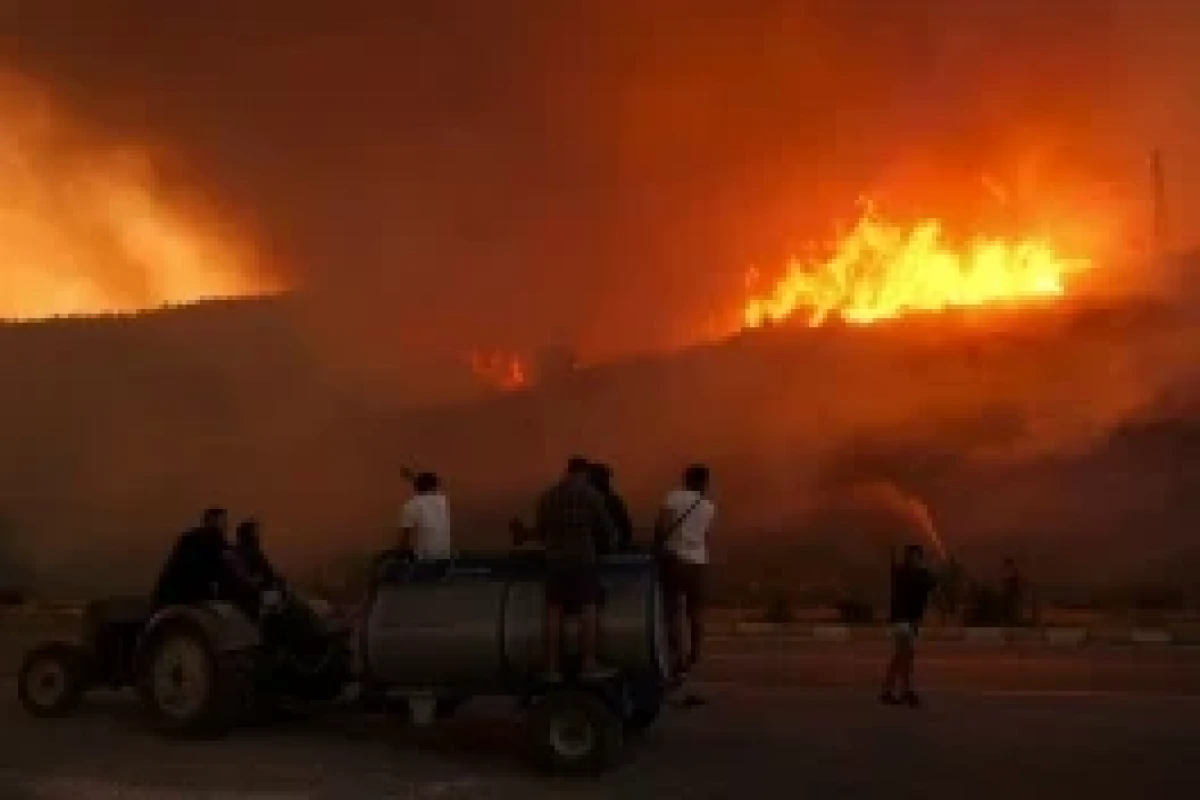 342 incendies de forêt se sont déclarés en Türkiye au cours des cinq derniers jours - Photo 