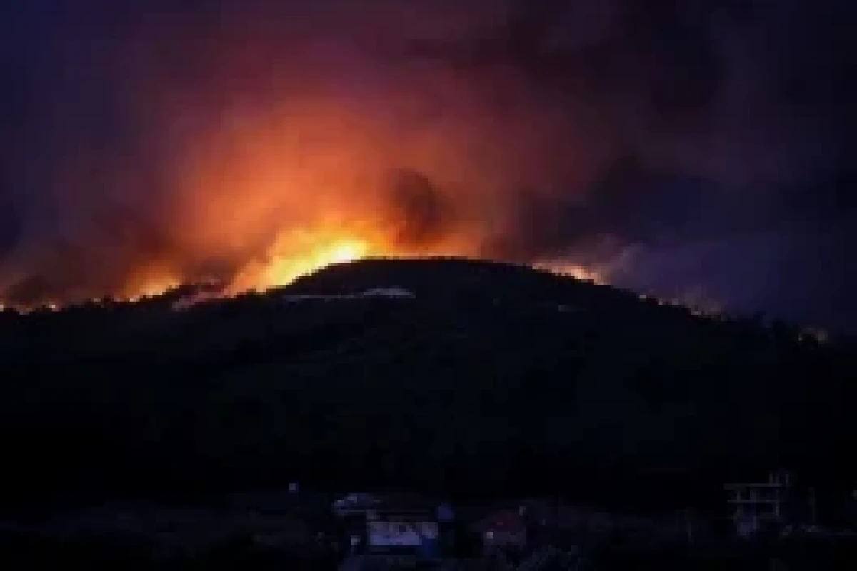 342 incendies de forêt se sont déclarés en Türkiye au cours des cinq derniers jours - Photo 