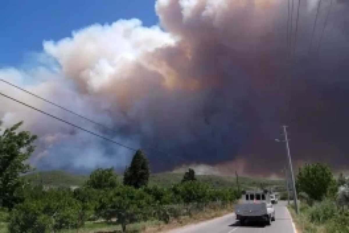 342 incendies de forêt se sont déclarés en Türkiye au cours des cinq derniers jours - Photo 