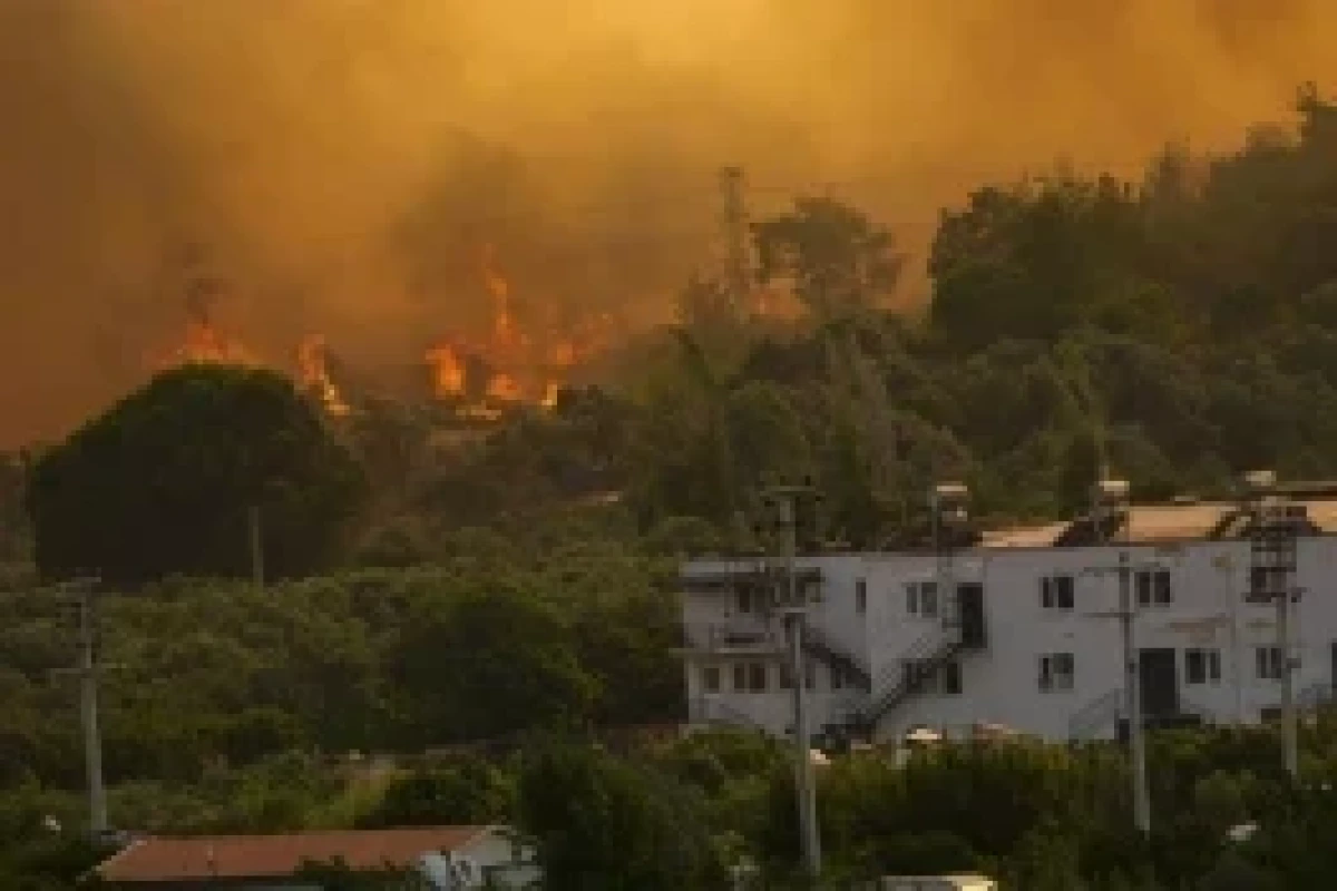 342 incendies de forêt se sont déclarés en Türkiye au cours des cinq derniers jours - Photo 