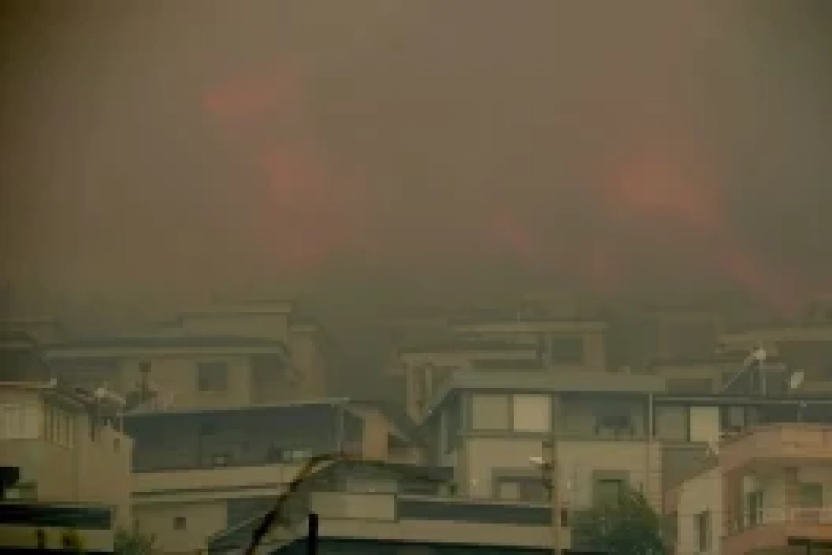 342 incendies de forêt se sont déclarés en Türkiye au cours des cinq derniers jours - Photo 