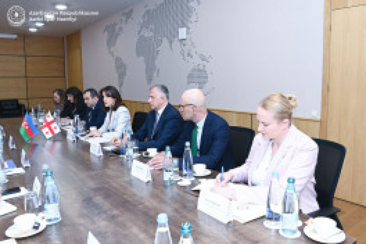 Les sujets abordés par les ministres des Affaires étrangères azerbaïdjanais et géorgienne révélés