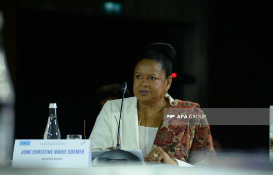 June Soomer : Les pays des Caraïbes ne parviennent pas à exploiter pleinement leur potentiel touristique en raison des restrictions existantes