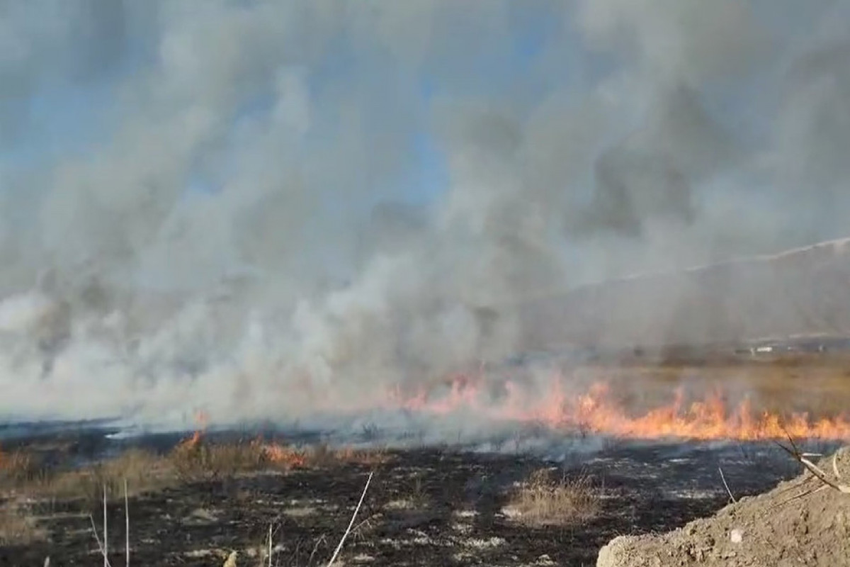 L'incendie, causé par l'Arménie à la frontière de la région de Sédérek de Nakhitchevan, a été maîtrisé - Vidéo 