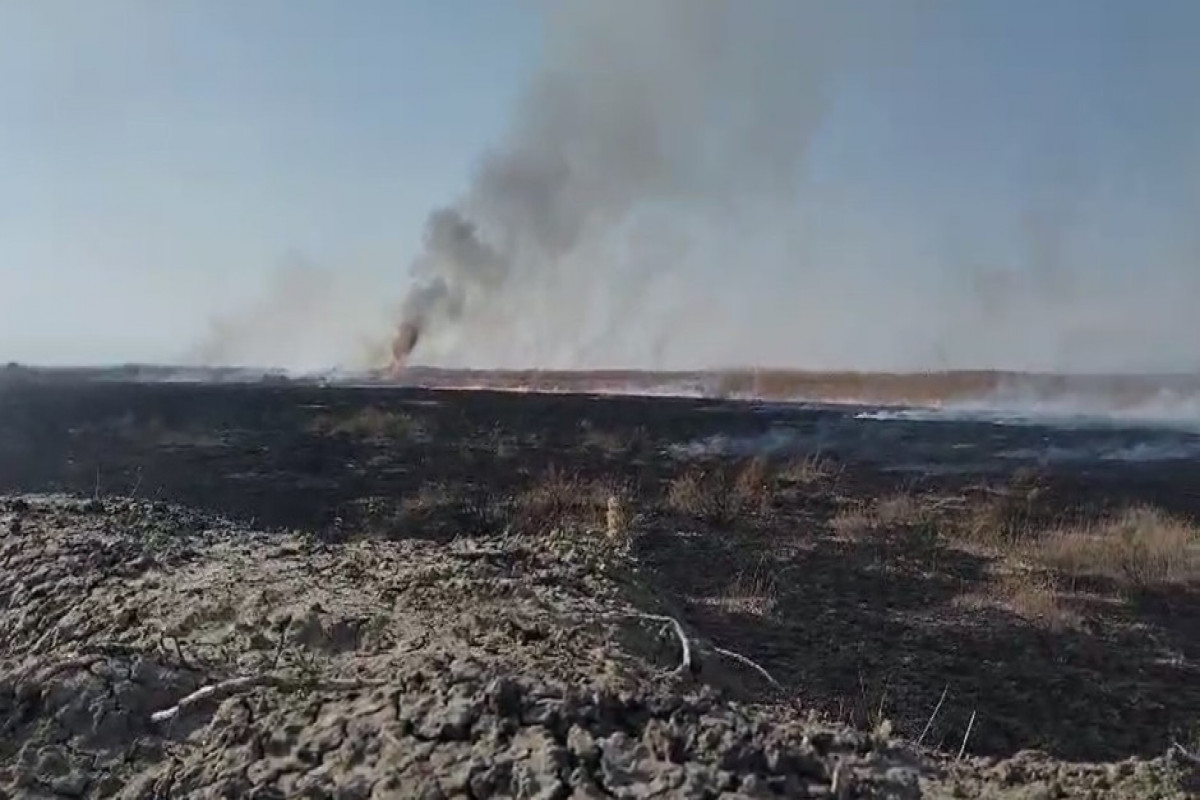 L'incendie, causé par l'Arménie à la frontière de la région de Sédérek de Nakhitchevan, a été maîtrisé - Vidéo 