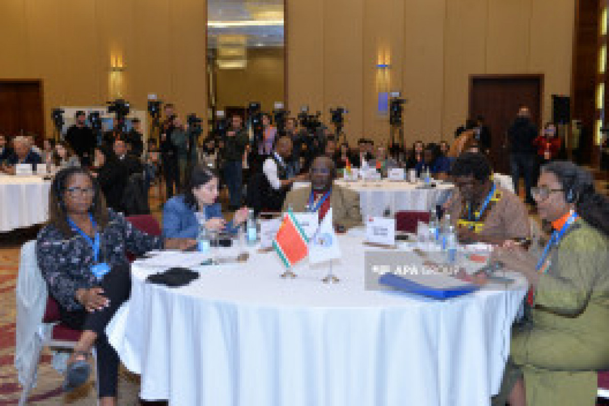 Bakou : Conférence internationale intitulée « Le colonialisme : effacement des identités nationales et religieuses » - Photos 