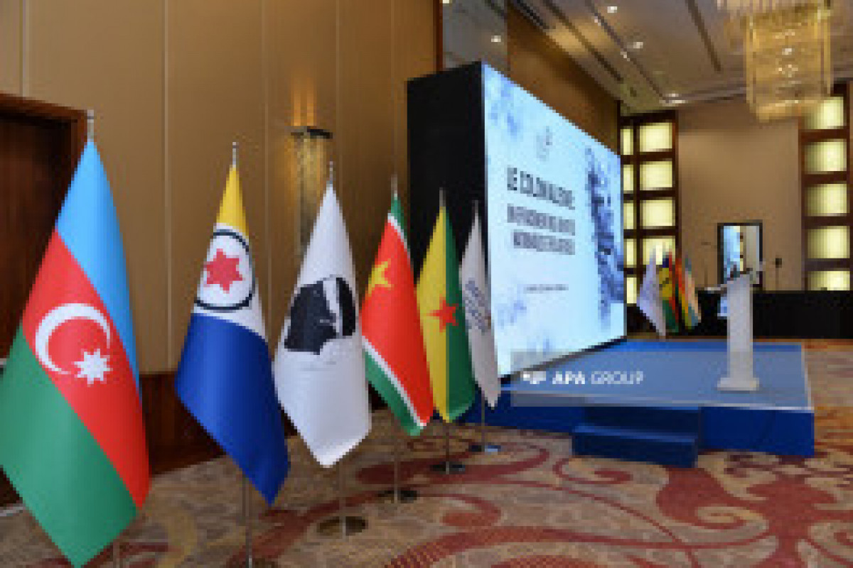 Bakou : Conférence internationale intitulée « Le colonialisme : effacement des identités nationales et religieuses » - Photos 