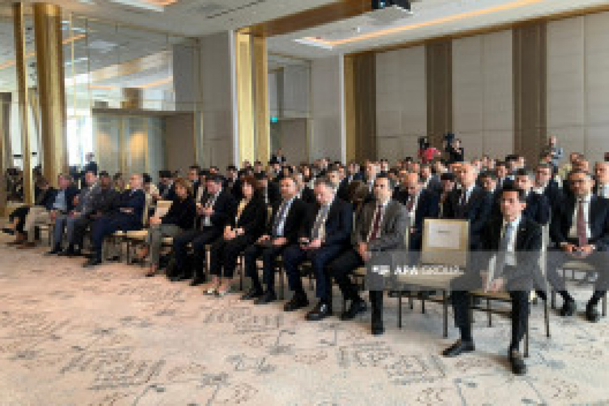 Istanbul accueille une conférence intitulée «Connecter les COP29 et COP30: Diplomatie, action et trajectoire climatique»