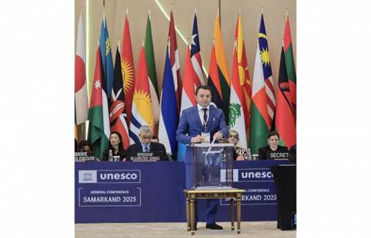Elnour Mammadov. vice-ministre azerbaïdjanais des AE