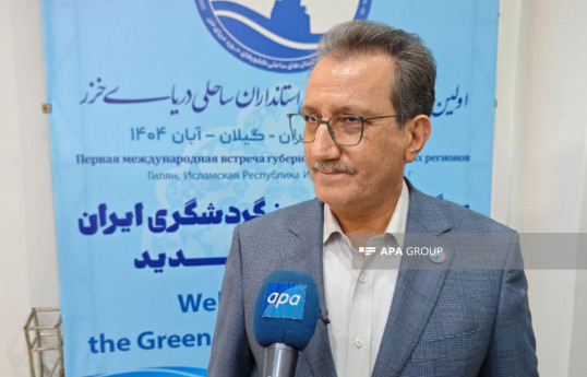 Saeed Rasouli