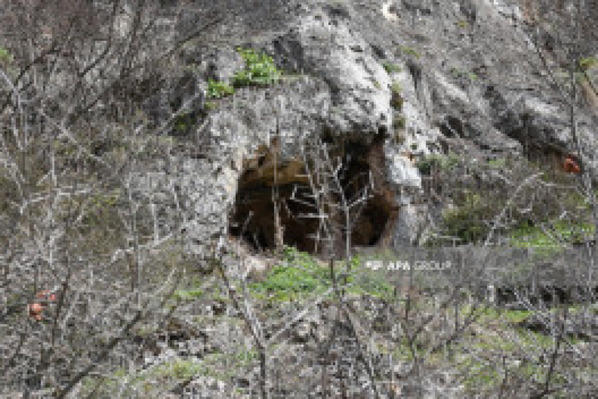 Des expéditions internationales sont en cours dans les grottes d'Azykh et de Taghlar - Photo 