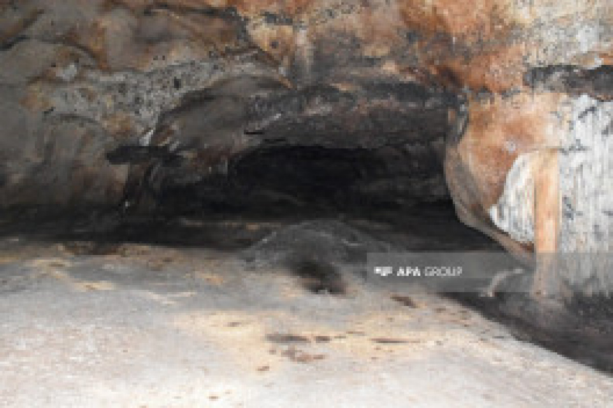 Des expéditions internationales sont en cours dans les grottes d'Azykh et de Taghlar - Photo 