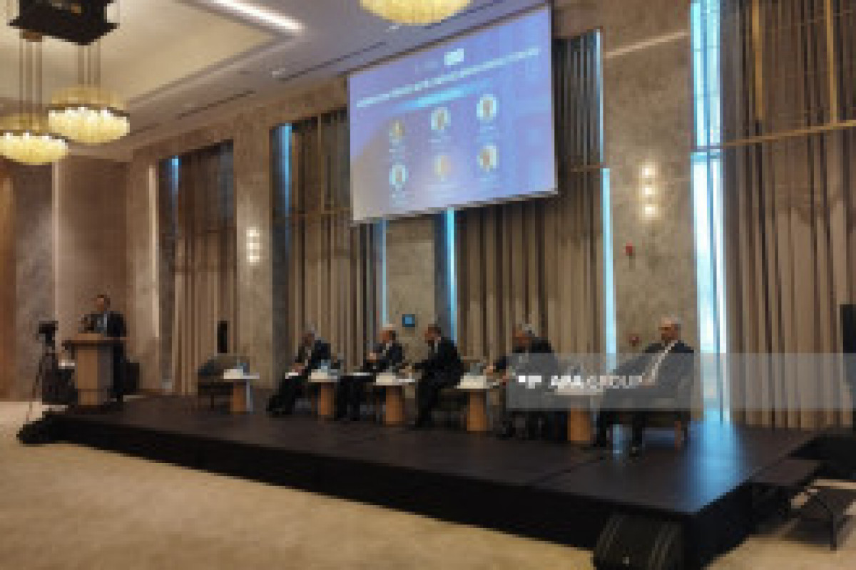 Le premier Forum des think tanks azerbaïdjano-turcs s'ouvre à Choucha - Photo