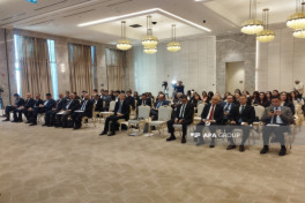 Le premier Forum des think tanks azerbaïdjano-turcs s'ouvre à Choucha - Photo