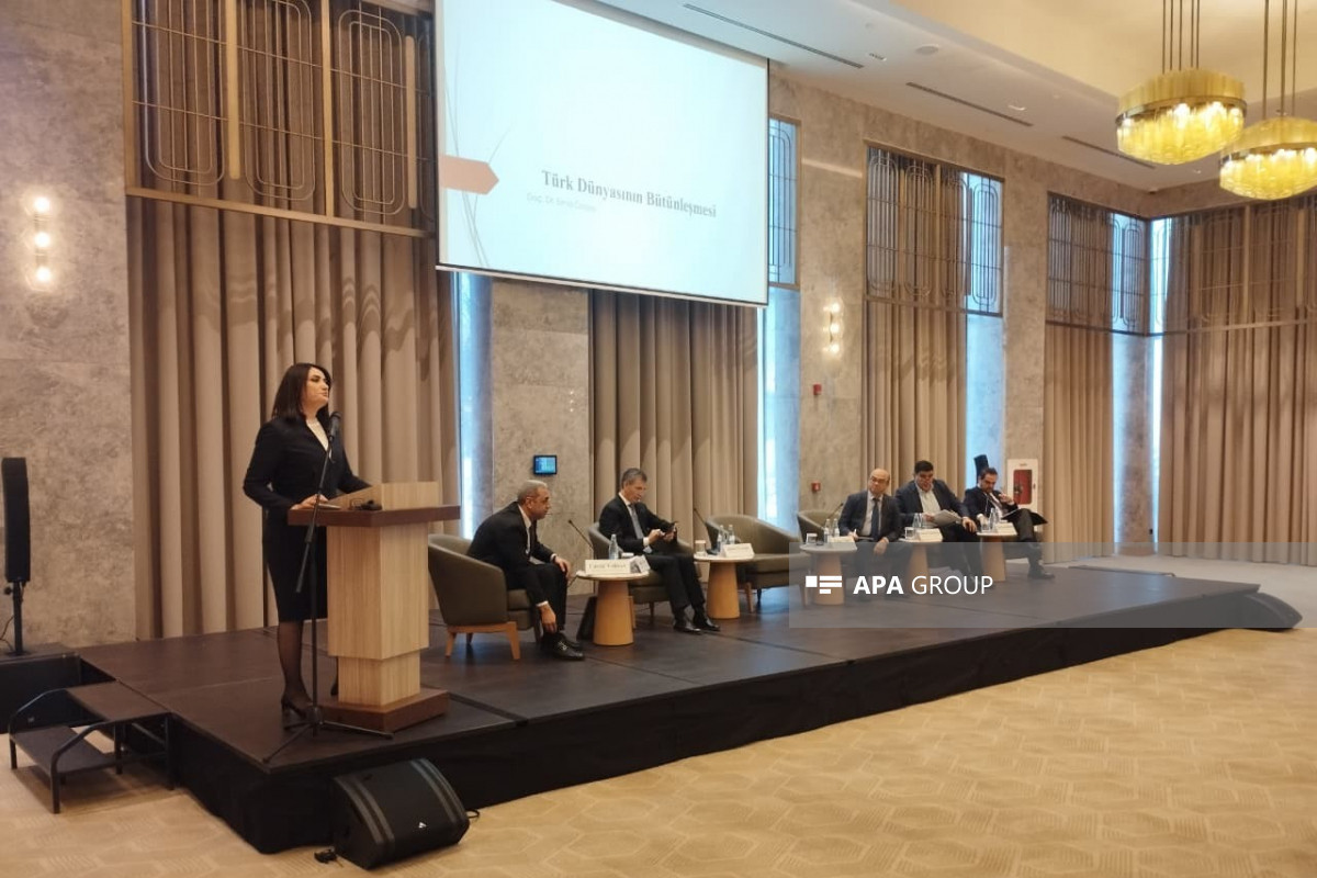 Directrice de l’Institut : La coopération militaire Azerbaïdjan–Türkiye atteint un niveau stratégique